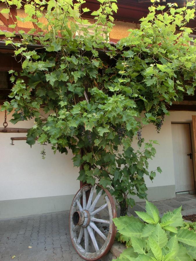 Zehnthof Hotell Geldersheim Eksteriør bilde